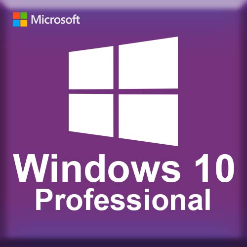 Microsoft Windows 10 Professional