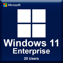 Microsoft Windows 11 Enterprise 20 Users