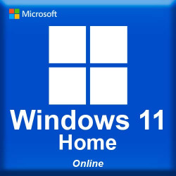 Microsoft Windows 11 Home Online