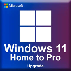 Microsoft Windows 11 Home to Pro Upgrade