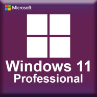 Microsoft Windows 11 Professional