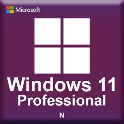 Microsoft Windows 11 Professional N