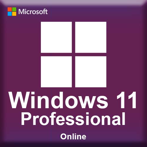 Microsoft Windows 11 Professional Online